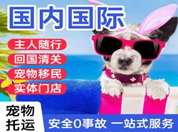 扎兰屯成吉思汗机场货运国际宠物托运 【国
